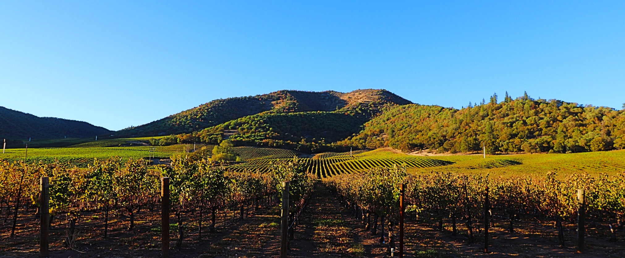 Drink in all of the beautiful smells, sounds and experiences Southern Oregon has to offer